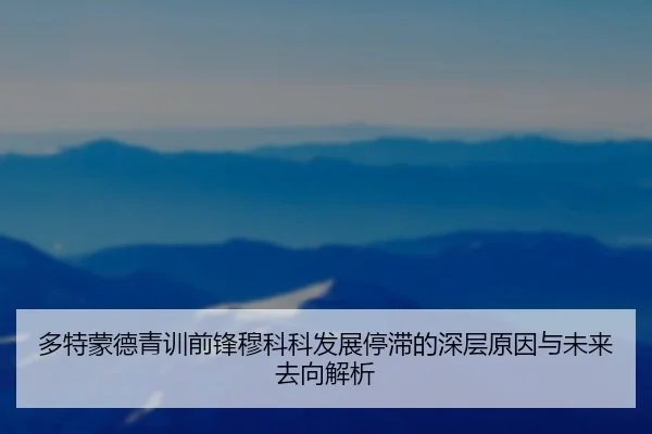 多特蒙德青训前锋穆科科发展停滞的深层原因与未来去向解析